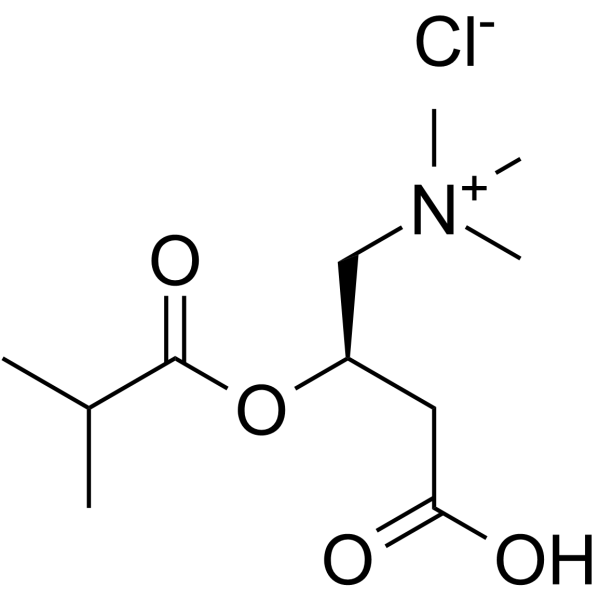 Isobutyryl-L-carnitine chloride 6920-31-6